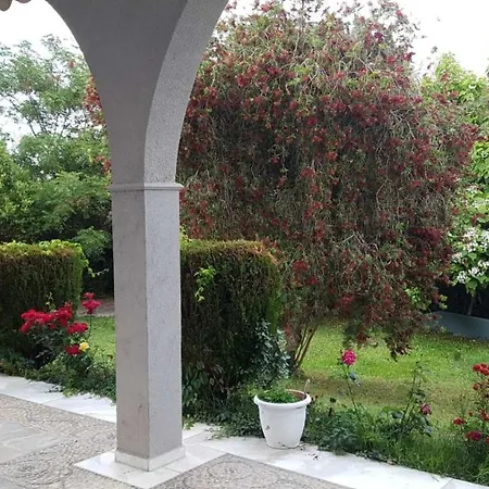Villa House With Garden *