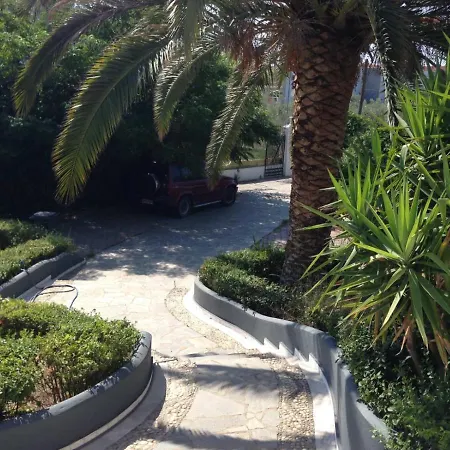 Villa House With Garden *